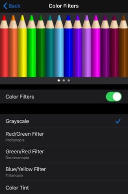 The color filters setting on an iPhone to enable Grayscale