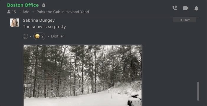 Gif of Flock teammates sharing pictures of the snow in a channel